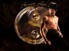 brucelee.maroc